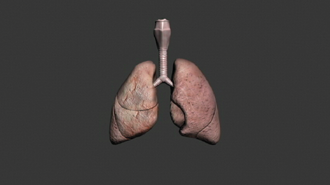 Modélisation multi-échelles des poumons