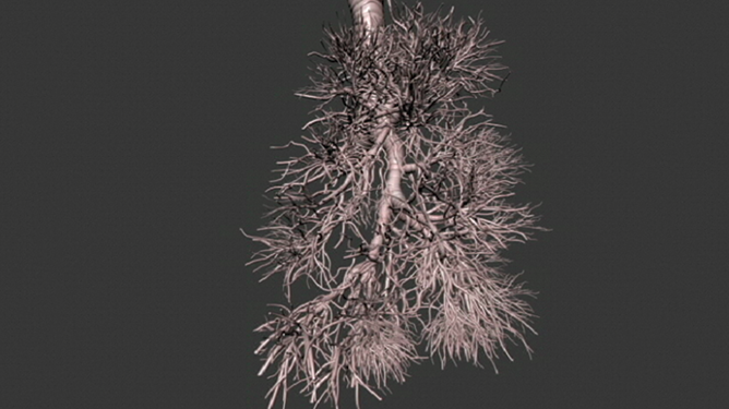 Multiscale modeling of the lungs