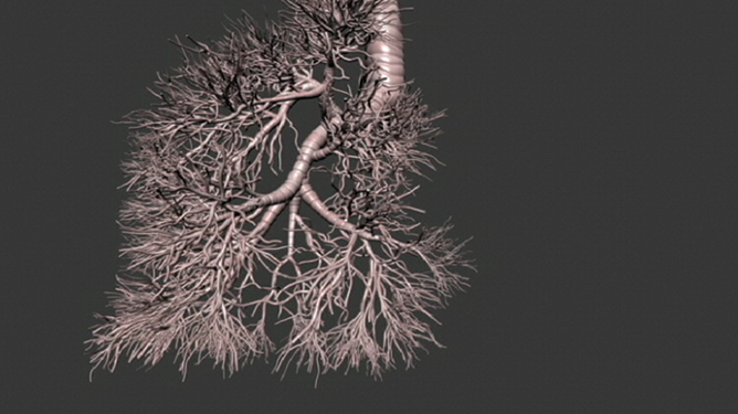 Multiscale modeling of the lungs