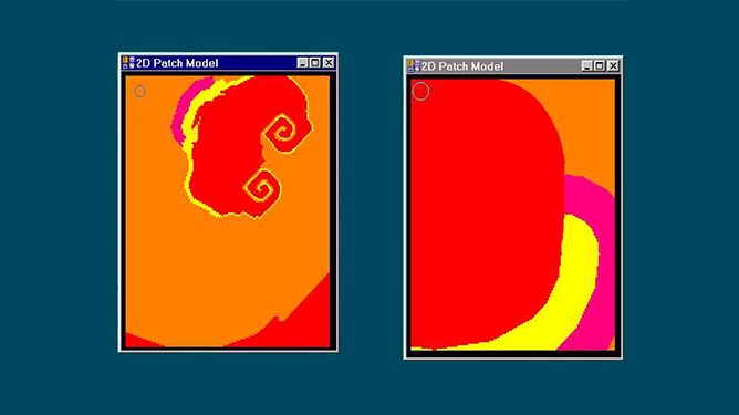 Simulation of biological systems